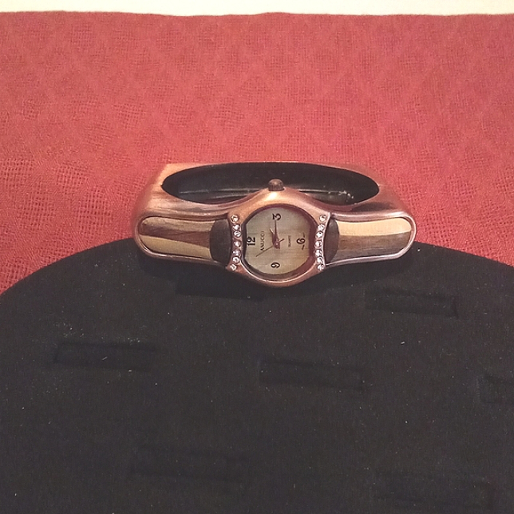 Annucci watch